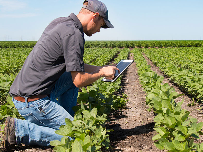 LEVERAGE THE R7 TOOL FOR SEASON-LONG CROP MANAGEMENT